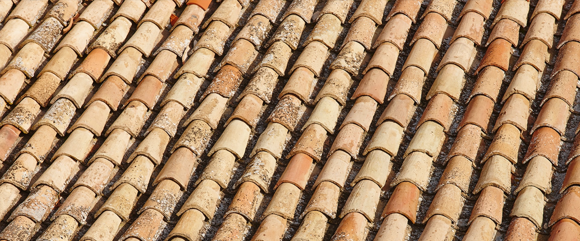 Exploring the Longevity of Wood Shakes