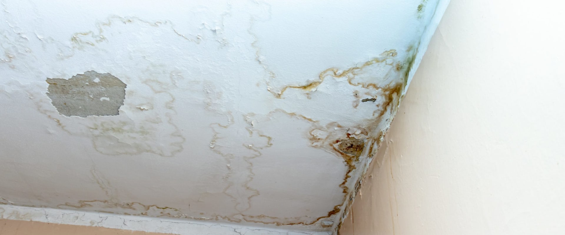 Identifying and Addressing Ceiling Leaks: A Homeowner's Insight