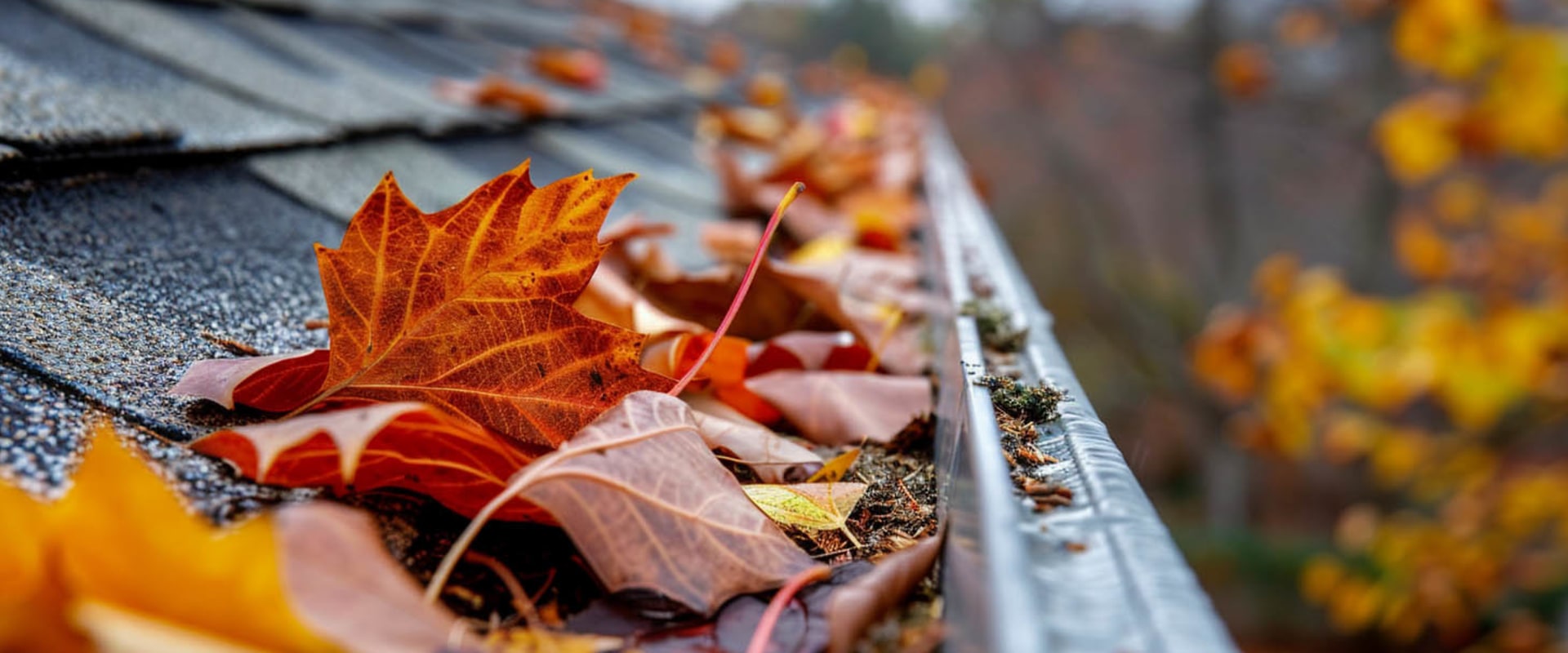 Fall Leaf Removal Best Practices for Roof Maintenance