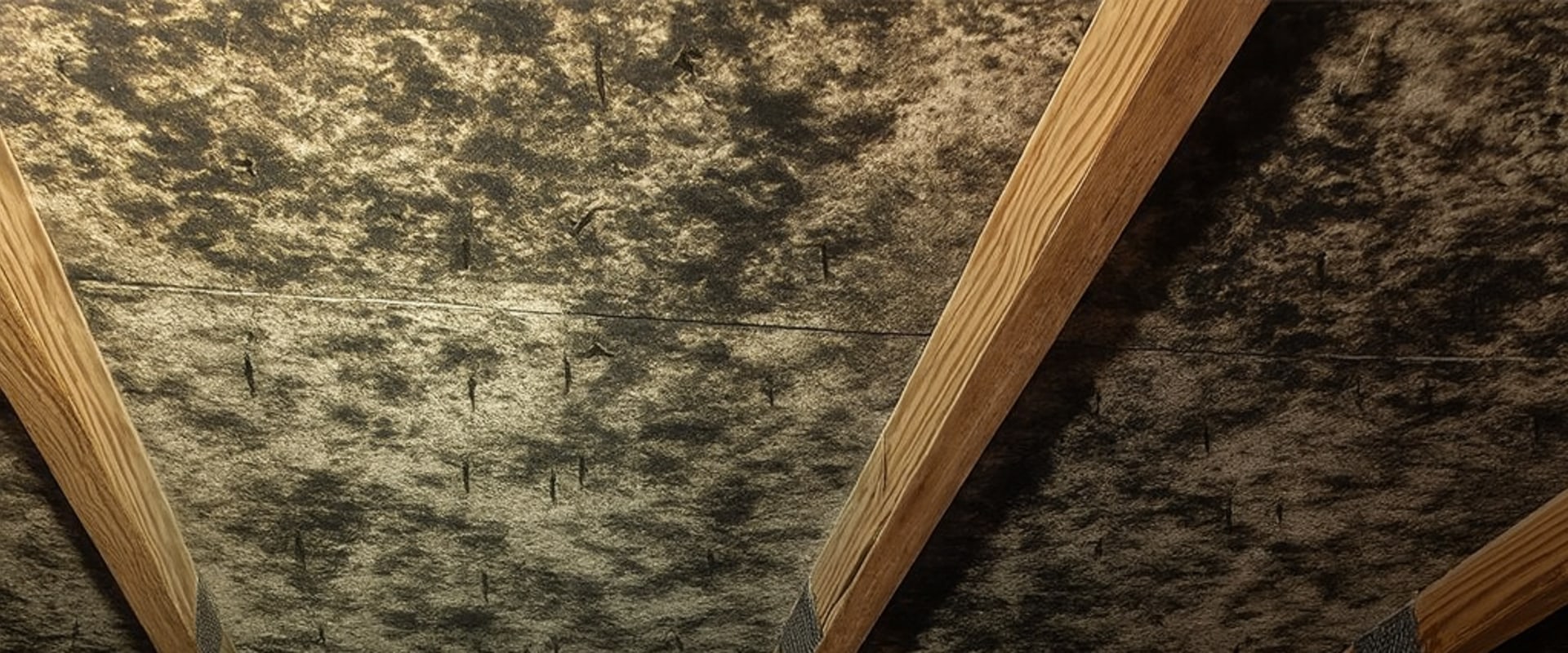 Identifying Mold and Rot in Insulation During Roof Inspections