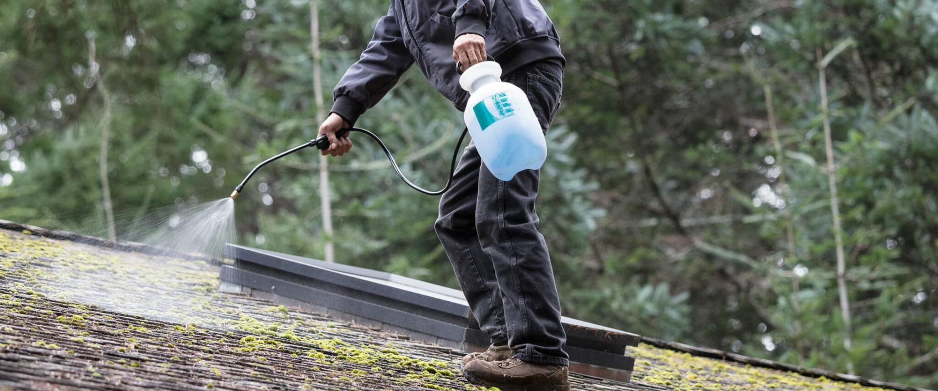 Effective Moss and Algae Removal Techniques for Your Roof