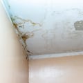 Identifying and Addressing Ceiling Leaks: A Homeowner's Insight