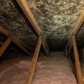Identifying Mold and Rot in Insulation During Roof Inspections