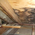 Identifying Water Damage Signs in Attic Spaces