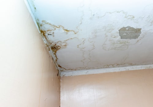 Identifying and Addressing Ceiling Leaks: A Homeowner's Insight