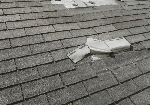 Identifying Damage in Shingles and Tiles