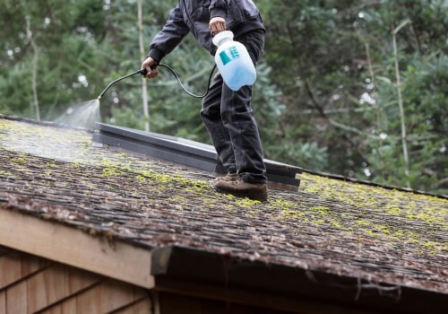 Effective Moss and Algae Removal Techniques for Your Roof