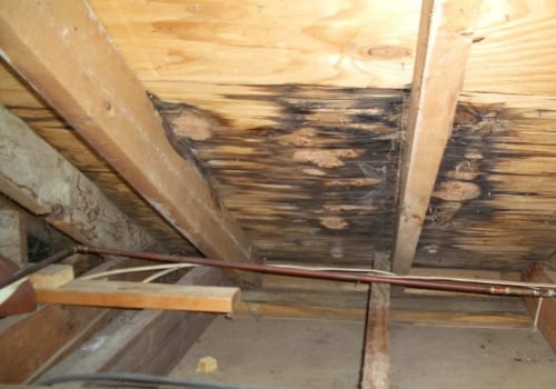 Identifying Water Damage Signs in Attic Spaces